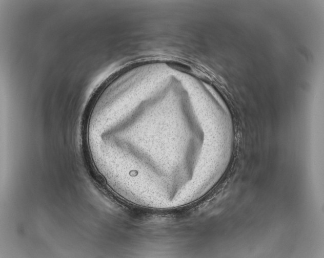 X0000111040248200907161350