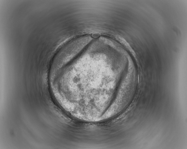 X0000111040249200907161350