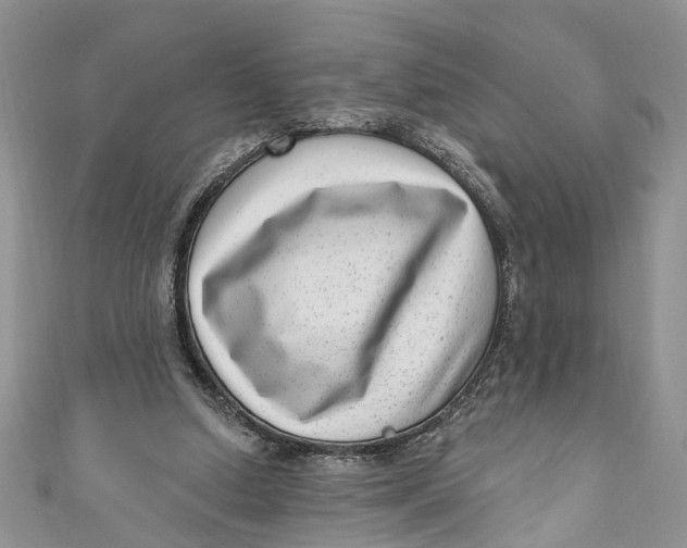 X0000111040250200907161350