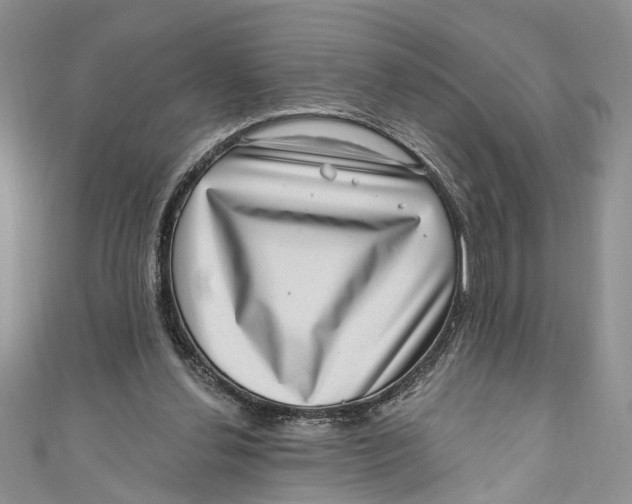 X0000111040252200907161350