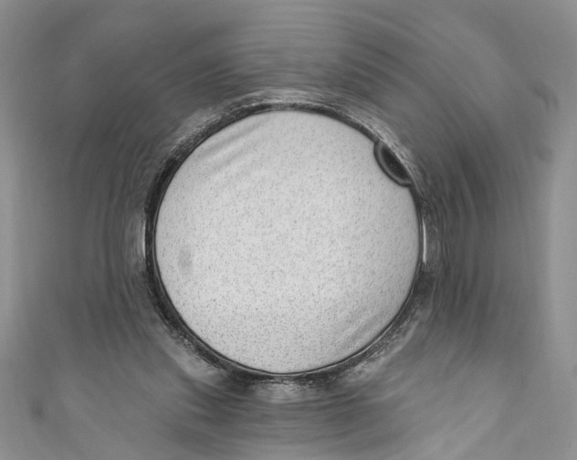 X0000111040253200907161350