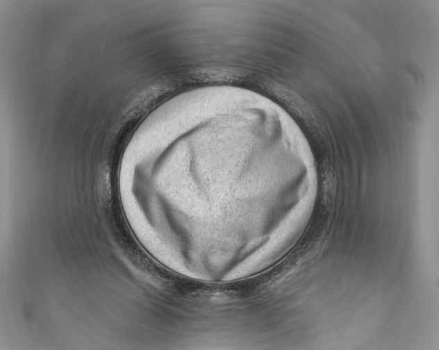 X0000111040254200907161350