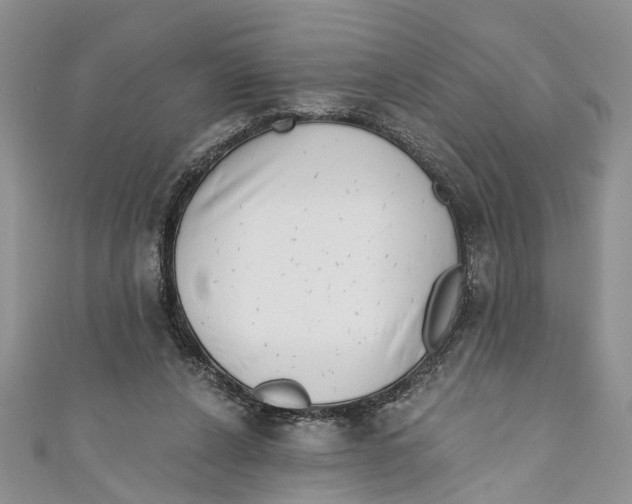 X0000111040256200907161350