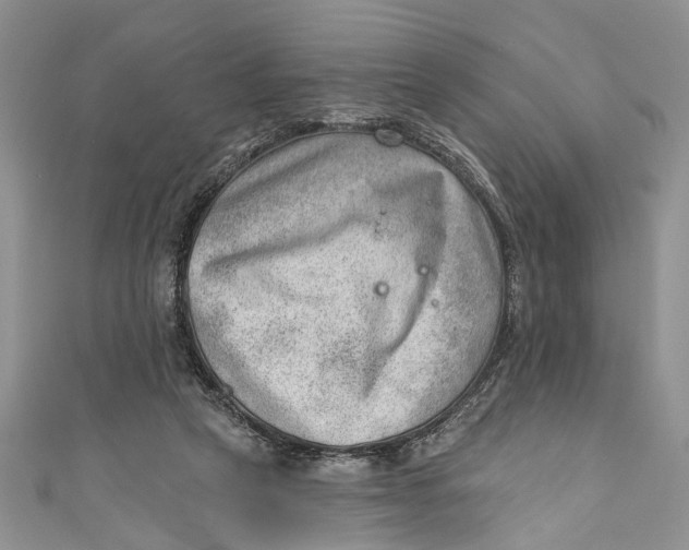 X0000111040257200907161350