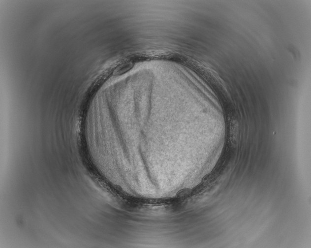 X0000111040260200907161351