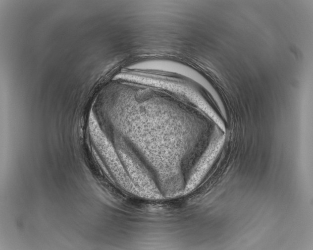 X0000111040264200907161351