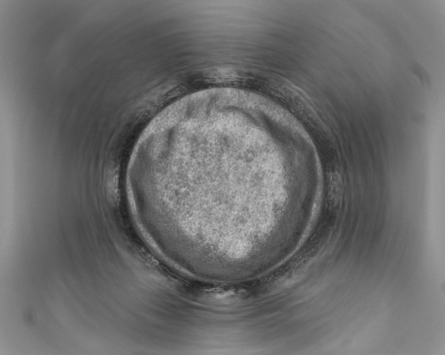 X0000111040267200907161351