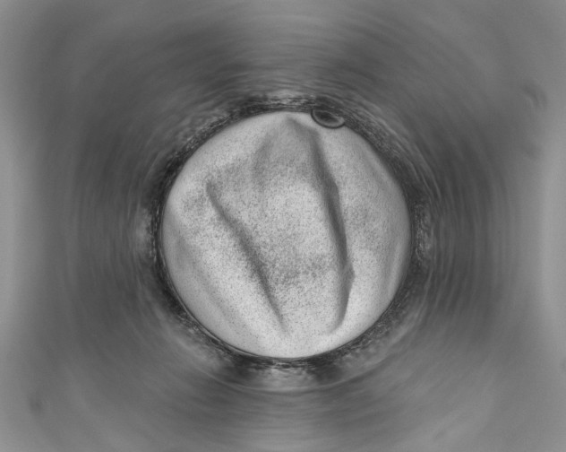 X0000111040270200907161351