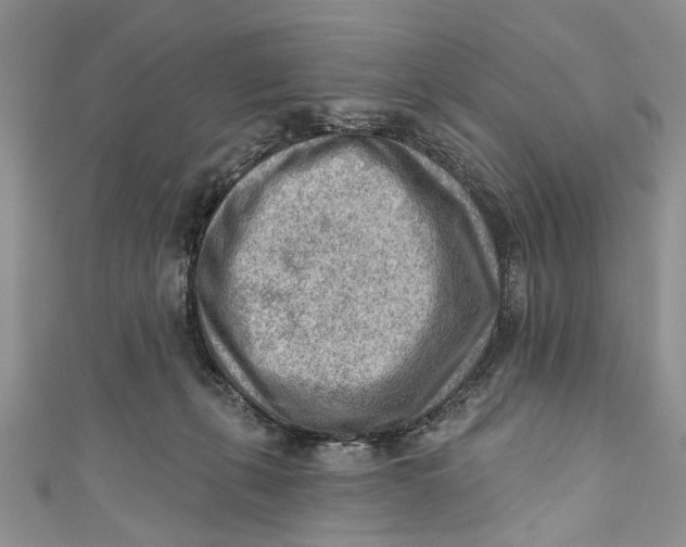 X0000111040271200907161351