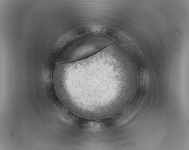 X0000111040272200907161351