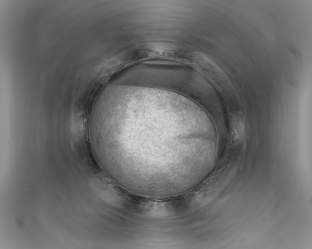 X0000111040276200907161351