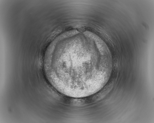 X0000111040277200907161351