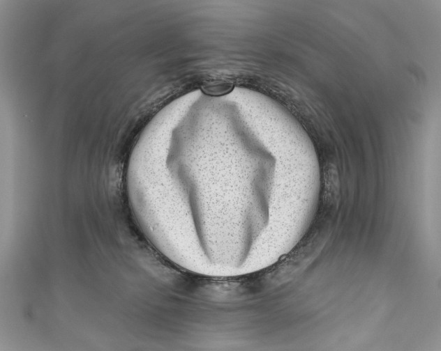 X0000111040278200907161351