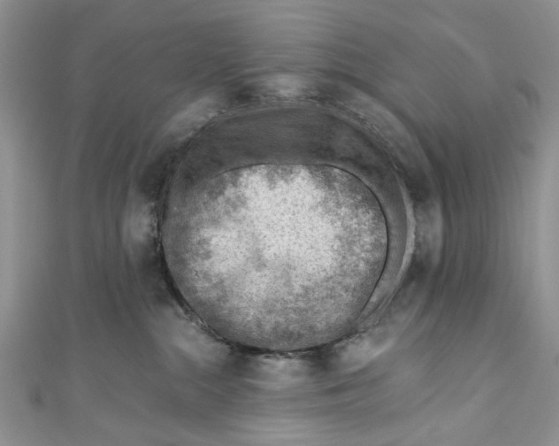 X0000111040284200907161351