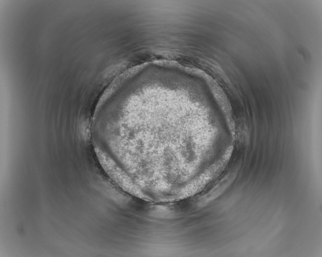 X0000111040285200907161351