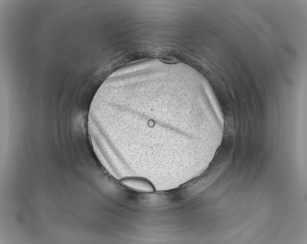 X0000111040286200907161351