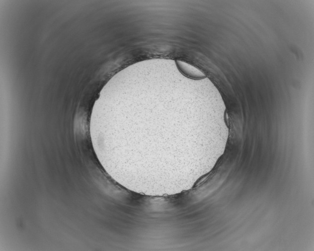 X0000111040287200907161351