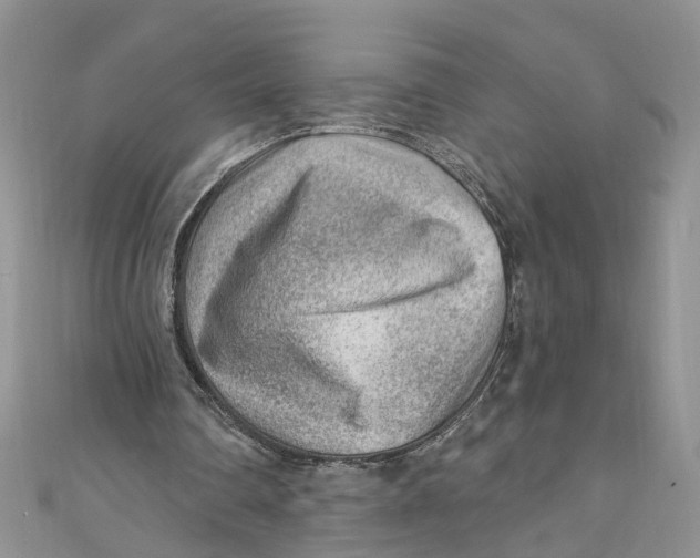 X0000111040290200907161350