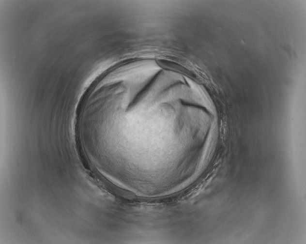 X0000111040292200907161350