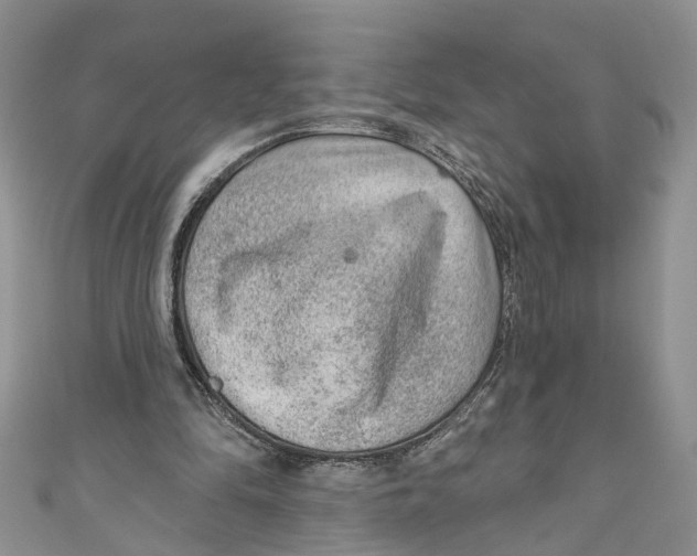 X0000111040294200907161350