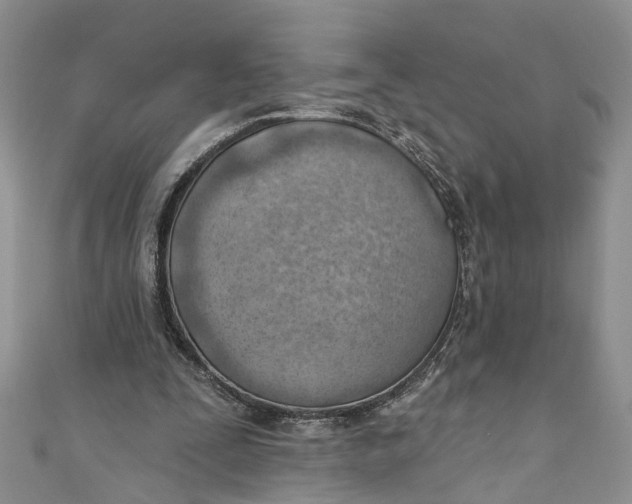 X0000111040295200907161350