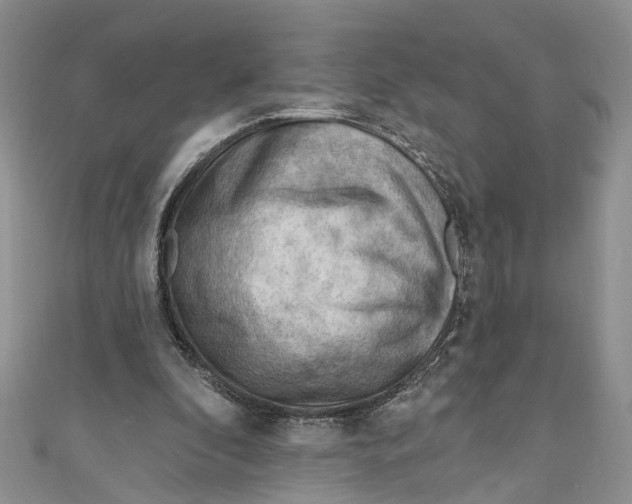 X0000111040296200907161350