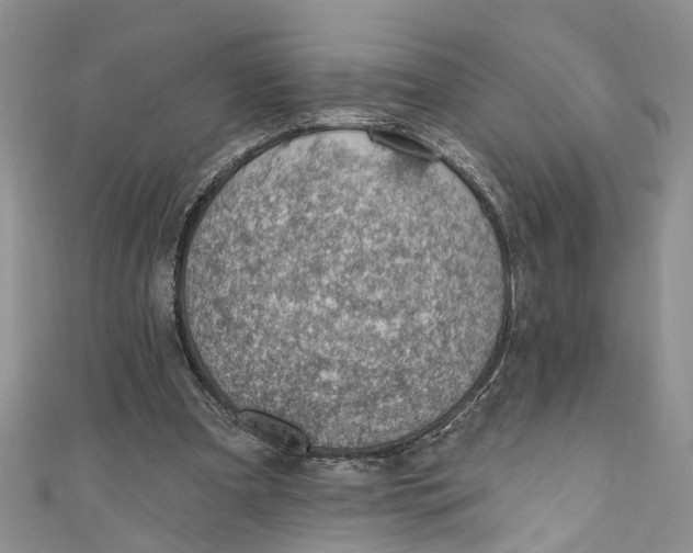 X0000111040297200907161350