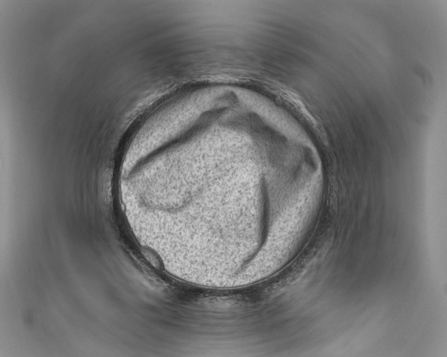 X0000111040299200907161350