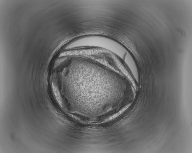 X0000111040300200907161350