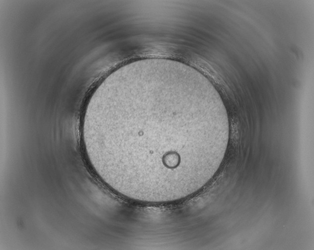 X0000111040302200907161350