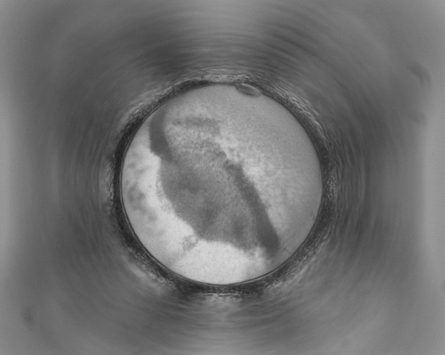 X0000111040303200907161350