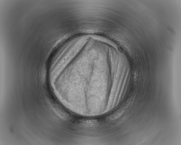 X0000111040304200907161350