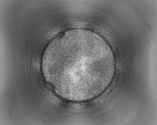 X0000111040305200907161350