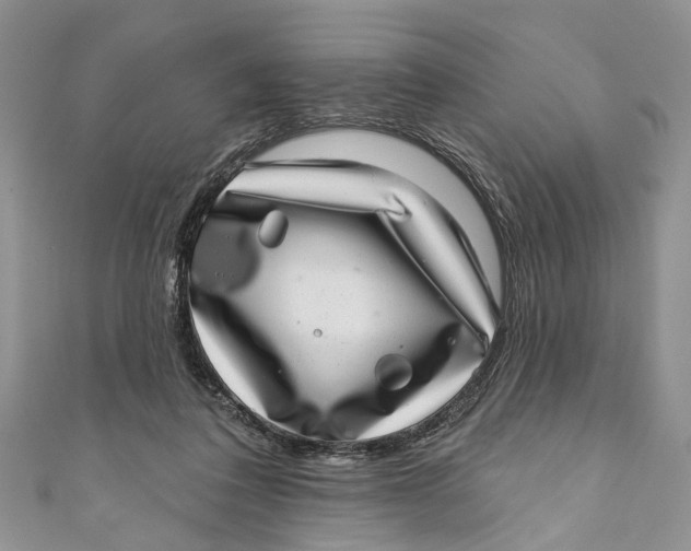 X0000111040308200907161350