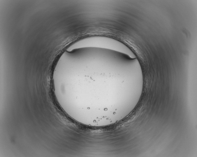 X0000111040309200907161350