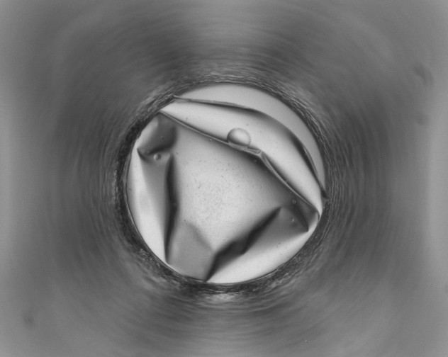 X0000111040312200907161350