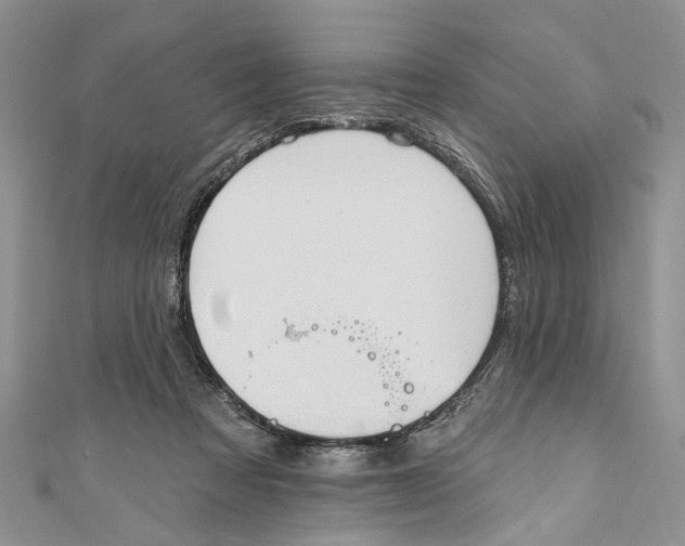 X0000111040313200907161350