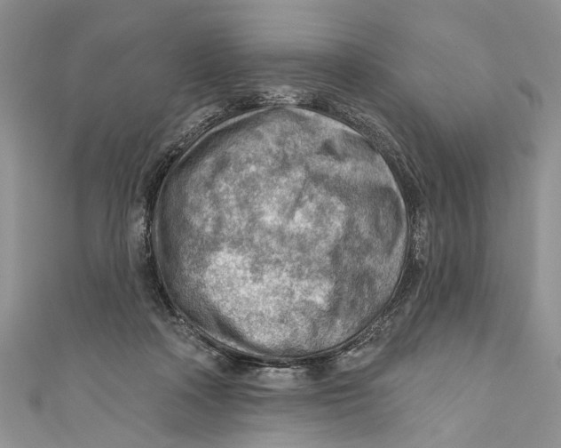 X0000111040314200907161350