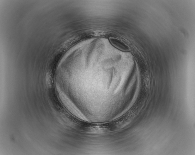 X0000111040316200907161350