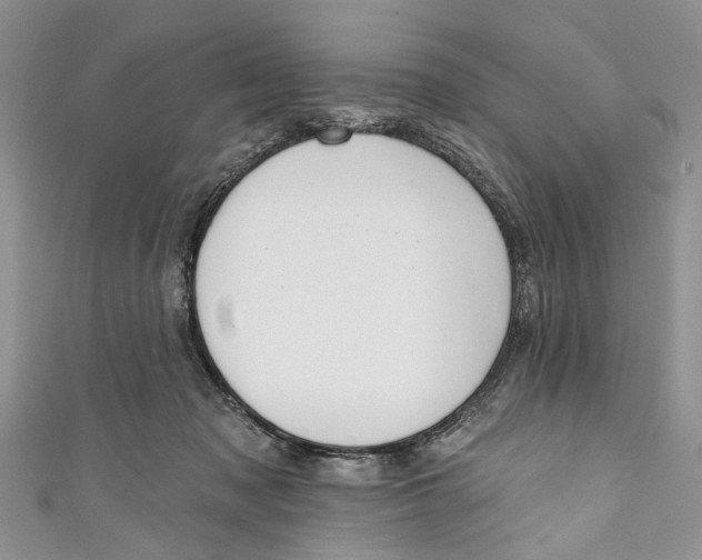 X0000111040317200907161350