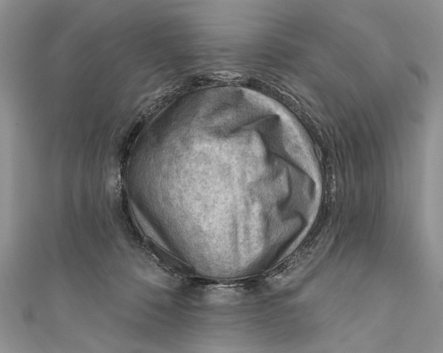 X0000111040320200907161350