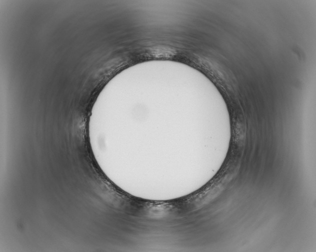 X0000111040321200907161350