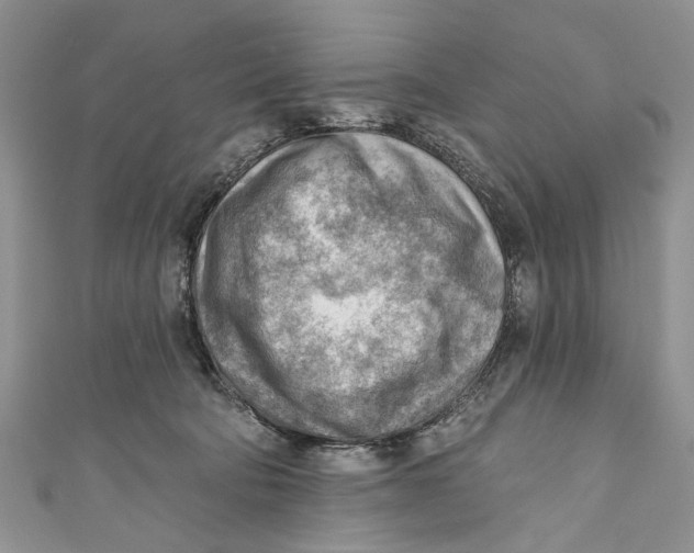 X0000111040322200907161350