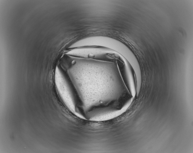 X0000111040325200907161350