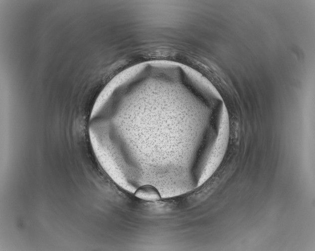 X0000111040326200907161350