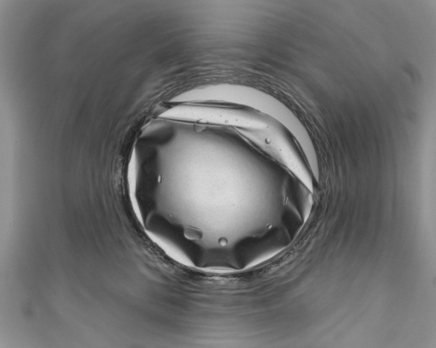 X0000111040328200907161350