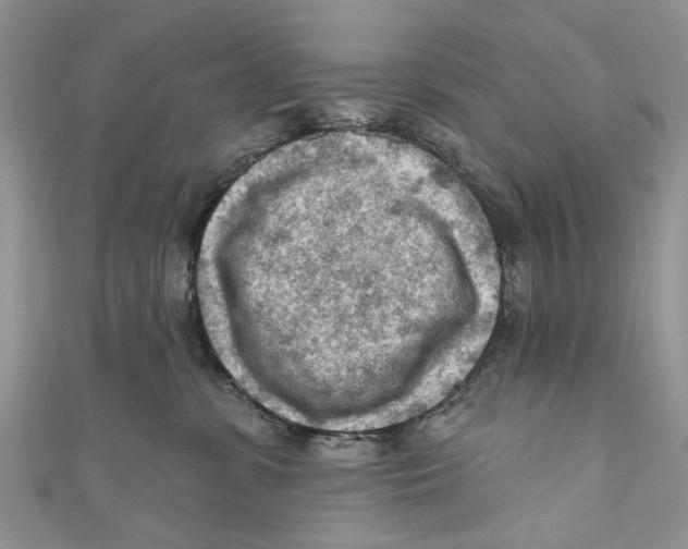 X0000111040331200907161350