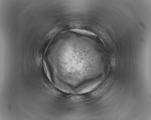 X0000111040332200907161350