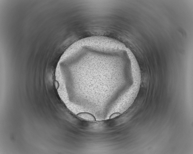 X0000111040334200907161350