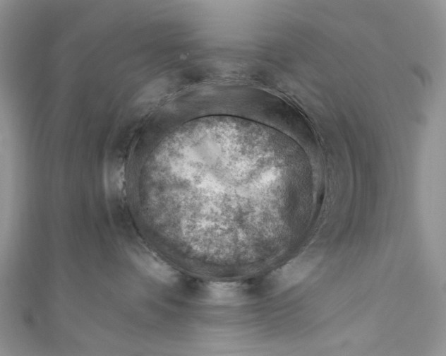 X0000111040336200907161350